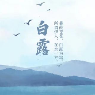 巜西藏，无法拒绝的感动》碑林路人