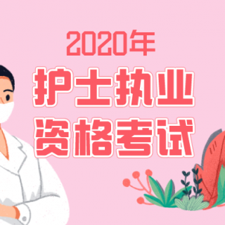 2020年护考：呼吸系统疾病病人的护理（一）呼吸系统解剖生理1