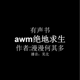 awm绝地求生 第二十四章