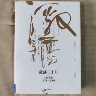 《激荡十年，水大鱼大》吴晓波“2009v型反弹的代价1”