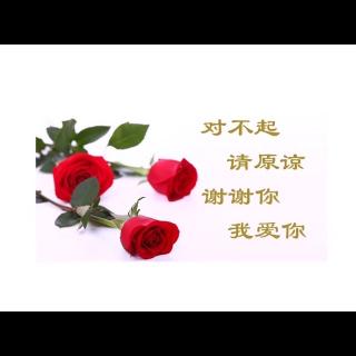 让世界因我而美丽002