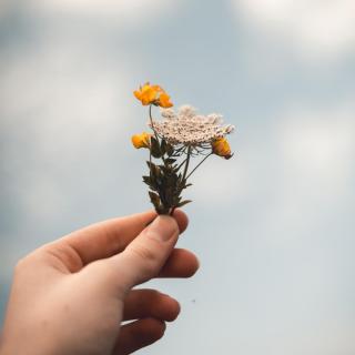 教师节 | 那些经典的老师语录，都是珍贵的青春记忆 - 栗子有声🌱