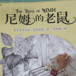 尼姆的老鼠🐭