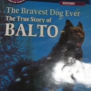 The  Bravest Dog  Ever The True Story of BALTO