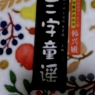 小老鼠学电脑