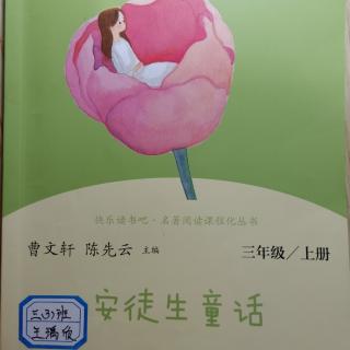 雏菊