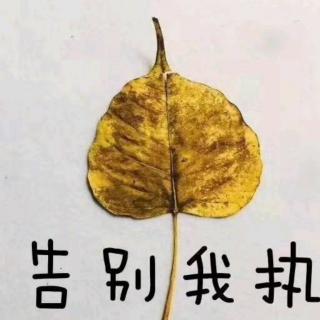 不小的收获