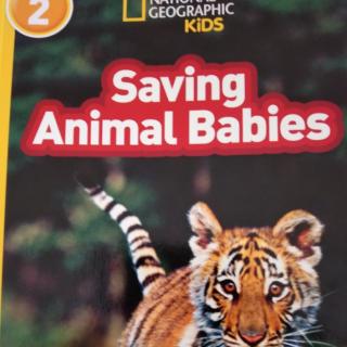 Saving Animal Babies