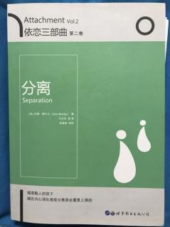 《分离》（英）约翰·鲍尔比 第十一章（3）