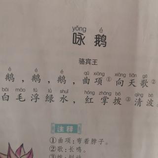 岑明昊读书打卡第8天一一古诗《咏鹅》