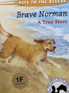 Ni 【Vol 91】Pets to The Rescue-Brave Norman-A True Story（SL 1F）