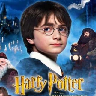 Harry Potter 8