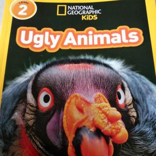 Ugly Animals