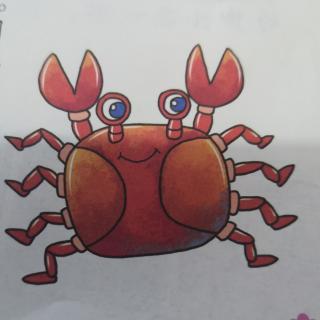 小螃蟹的梦插图怎么画图片