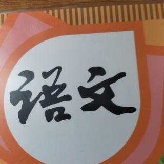 《限字作文》和《课内阅读》打卡第六十四天