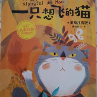 一只想飞的猫