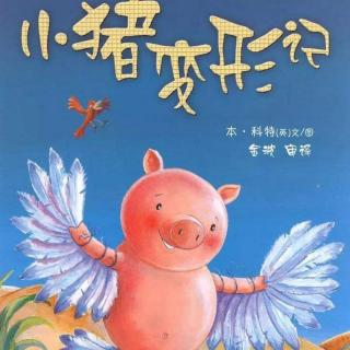 2.绘本故事《小猪变形记》