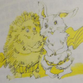 童话故事 兔子🐰和刺猬