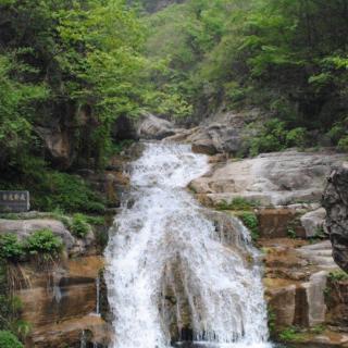 一壶思念       雨下罗加