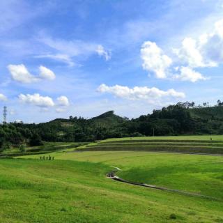 勇敢向前去 太阳照你行 - 楠木有依🍟🏂