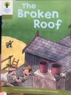 The broken roof