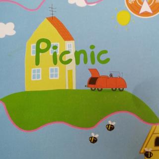 picnic