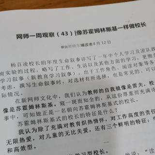 郝晓东《新网师一周观察》（43）