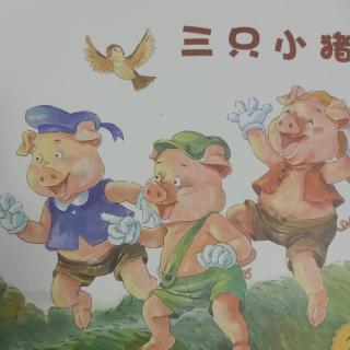 《三只小猪🐷》