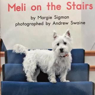 海尼曼 LeveIC Book35 - MeIi on the Stairs