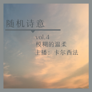 vol. 4 模糊的温柔