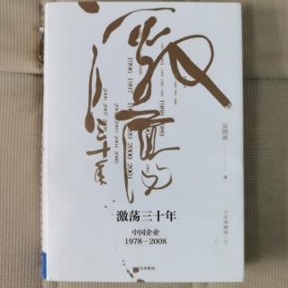 《激荡三十年》吴晓波“2008正在展开的未来3”