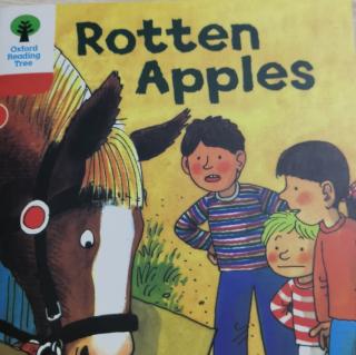 6-8Rotten Apples