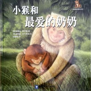 小猴🐵和最爱的奶奶👵