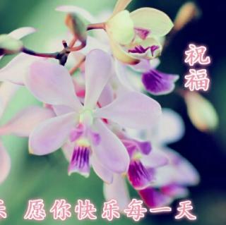 早安播报从“肠”计议“肠”治久安