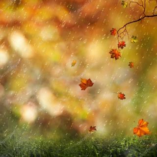 《秋天的雨》