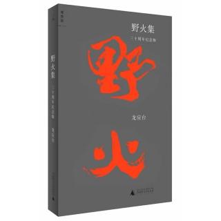 《野火》从“一九八四”以后 （下）