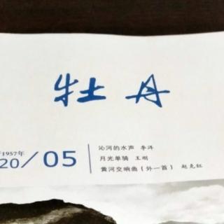 《世间物象》城春草木