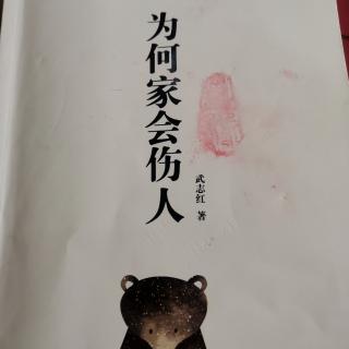 《为何家会伤人》11季第164天第251