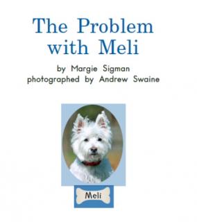 The problem with Meli（1）