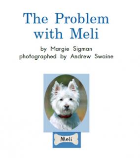 The problem with Meli（2）