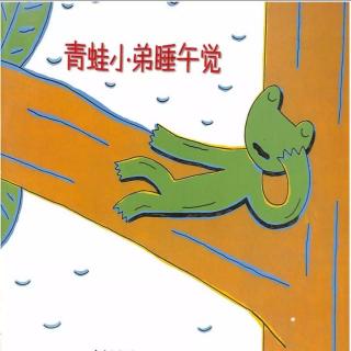 《青蛙🐸小弟睡午觉》