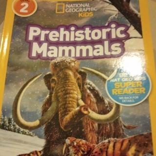 Prehistoric Mammals