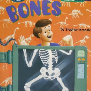 Day 217 - Bones 1