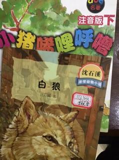 小猪唏哩呼噜，白狼