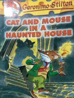 Cat and Mouse in a Haunted House