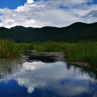 《无题》余秀华