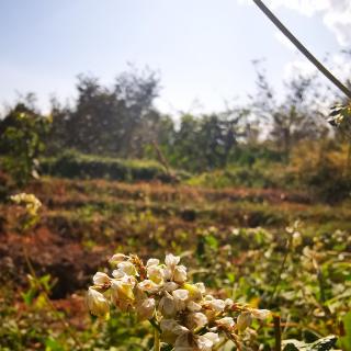 邓艳芬老师疗愈冥想