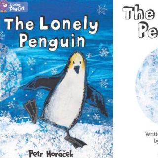 The Lonely Penguin