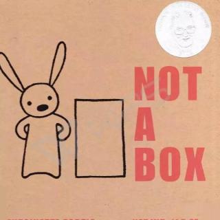 Not a Box-双语版