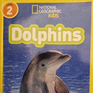笑爸领读Dolphins Net Geo kids level 2